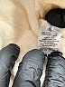 Assorted Brands 100% Cotton Ivory Pullover Hoodie Size S - photo 7