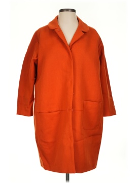 H&M Coat (view 1)