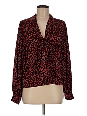 Zara Long Sleeve Blouse (view 1)