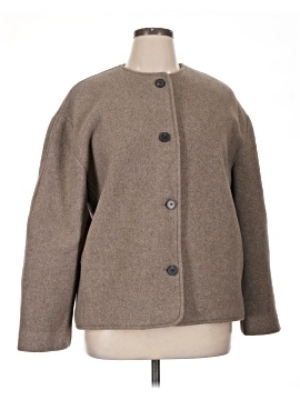 Everlane Wool Coat (view 1)