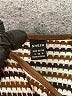Shein Stripes Brown Casual Dress Size 4 - photo 7