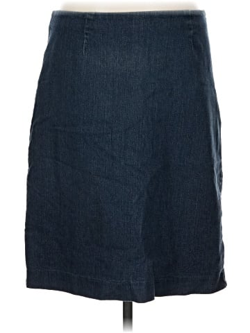 Chadwicks Denim Skirt (view 1)
