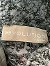 Evolution by Cyrus Tweed Gray Turtleneck Sweater Size M (estimated) - photo 7