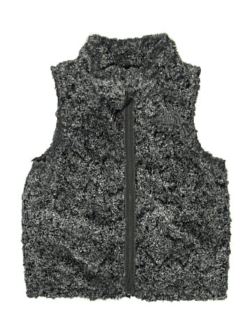 The North Face Vest (view 1)