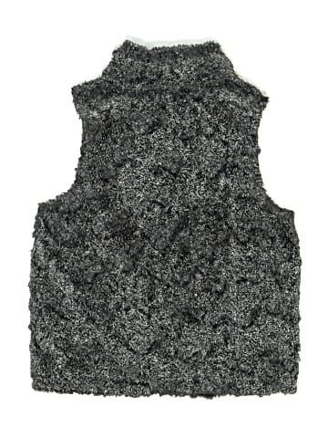 The North Face Vest (view 2)