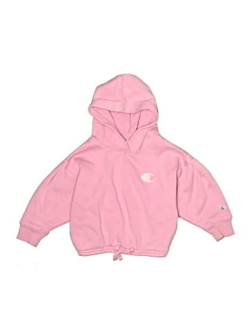 Champion Zip Up Hoodie (view 1)
