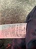 Janie and Jack 100% Wool Plaid Red Wool Pants Size 3 - photo 4