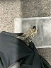 Switch USA Black Active Pants Size L - photo 8