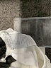 Assorted Brands 100% Cotton Ivory Dress 18-24 MO / 24 MO - photo 3