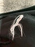 Halogen Black 3/4 Sleeve Top Size L - photo 8