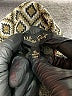 Melissa Paige Print Green Casual Pants Size XL - photo 4
