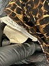 XOXO Animal Print Brown Yoga Pants Size 5 - photo 10