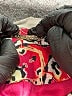 Marciano Print Pink Jacket Size 0 - photo 6