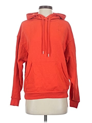 Alo Pullover Hoodie (view 1)