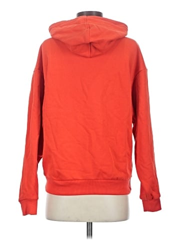 Alo Pullover Hoodie (view 2)