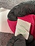 Lilly Pulitzer 100% Silk Pink Long Sleeve Silk Top Size XL - photo 8
