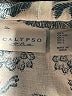 Calypso St. Barth Tropical Ivory Jacket Size Lg (2) - photo 6