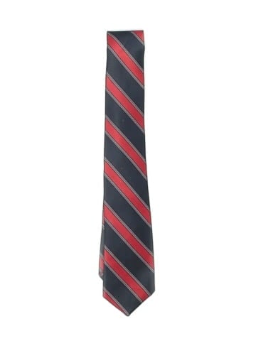 Pierre Cardin Necktie (view 1)
