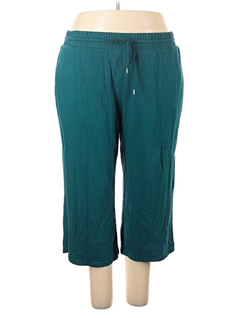 Pre-owned Terra & Sky Active Pants In Teal