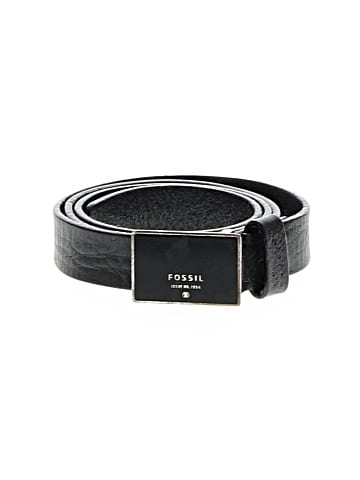 Fossil Belt (view 1)