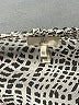 Joie Silver 3/4 Sleeve T-Shirt Size M - photo 7