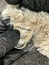 Dylan 100% Polyester Tan Coat Size S - photo 7