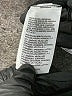 Bebe Sport Graphic Silver Active Pants Size M - photo 8