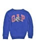 Gap Kids Blue Pullover Sweater Size M (kids) - photo 1