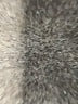 Robert Rodriguez Solid Black Skort Size 12 - photo 4