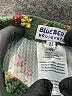 Blueberi Boulevard Print Green Casual Pants Size 5T - photo 4
