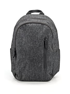 Everlane Backpack (view 1)
