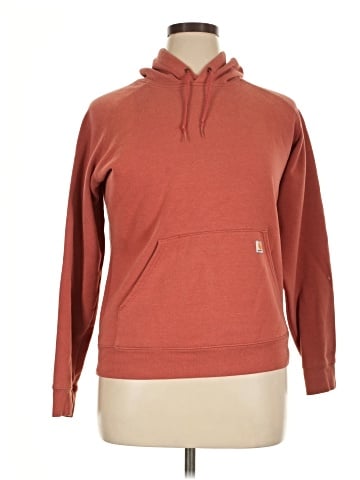 Carhartt Pullover Hoodie (view 1)