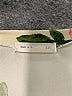 Reba Floral Ivory Casual Dress Size S (estimated) - photo 7