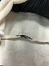 Buffalo by David Bitton Ivory Pullover Sweater Size L - photo 8