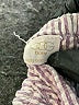 Egg Baby Gray Sleeveless Top Size 2 - photo 3
