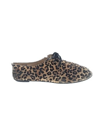 Black Poppy Flats (view 1)