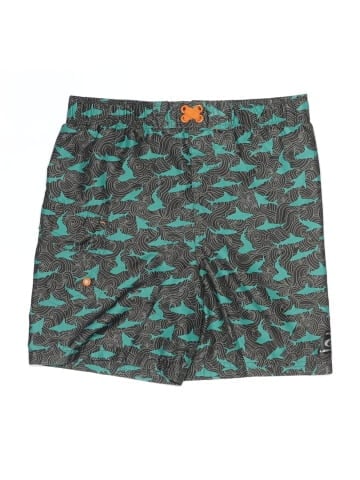 Laguna Board Shorts (view 1)
