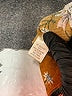 Chance Floral Brown Casual Skirt Size XL - photo 5