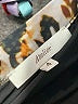 Atelier Animal Print Brown Casual Skirt Size 4 - photo 4