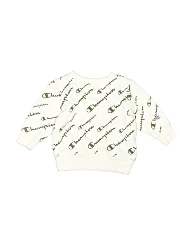 Champion Pullover Sweater (view 1)