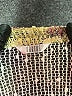 Kaktus 100% Polyester Gold Cardigan Size 5X (estimated) - photo 7
