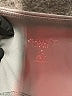 Active by Old Navy Animal Print Gray Active Pants Size M (tall) - photo 4
