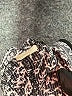 Max Studio Floral Gray Casual Dress Size XS - photo 8