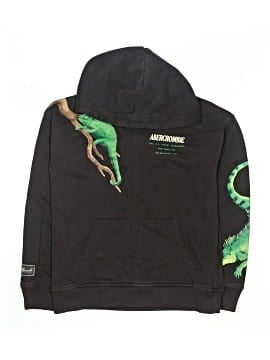 Abercrombie Kids Pullover Hoodie (view 1)