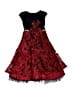 Blueberi Boulevard 100% Polyester Red Dress Size 4 - photo 2