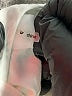 Trina Turk Ivory Casual Pants Size 14 (estimated) - photo 8