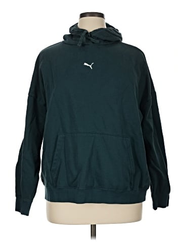Puma Pullover Hoodie (view 1)