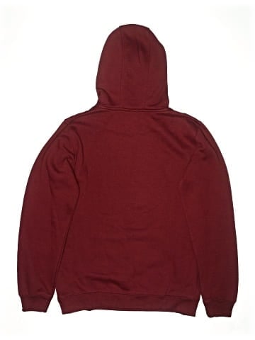Team Apparel Pullover Hoodie (view 2)