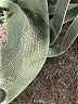 Assorted Brands Green Tank Top Size XS - photo 7