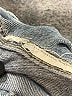 Unbranded Blue Overalls Size M (estimated) - photo 4